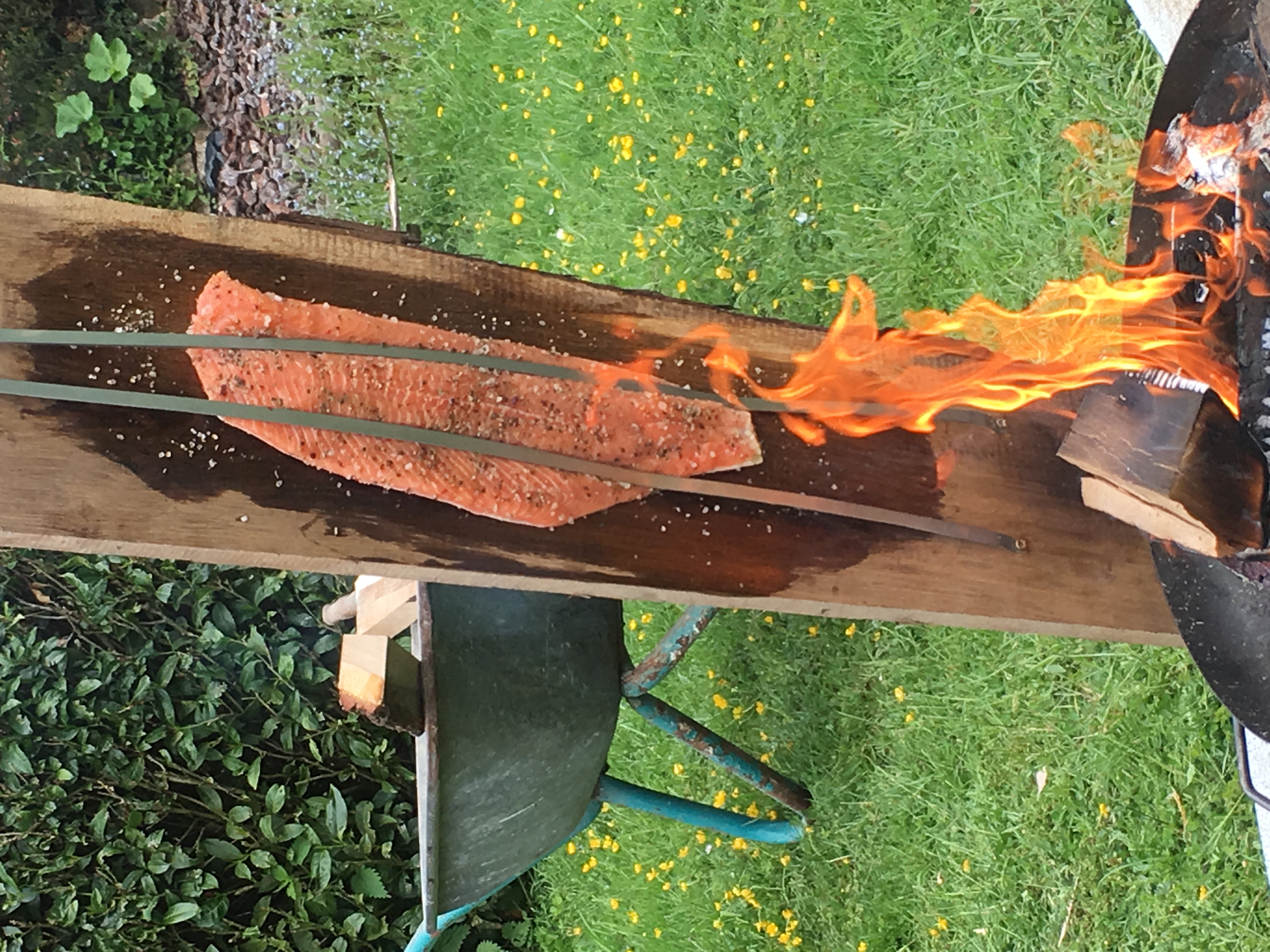 Lachs auf Zedernholz über dem Feuer geräuchert beim exklusiven Grillbuffet